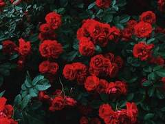 결말이 없는 동화