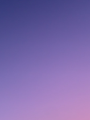 세자님의 연애사업