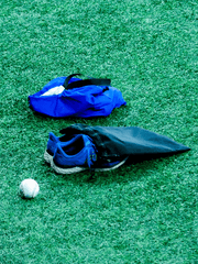 안드레아_삼성 라이온즈