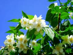 뜨거운 태양이 내리쬐던 계절의 한끝.