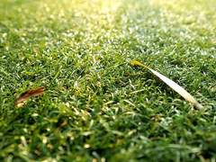 [외전] 언제쯤이면 이 안개가 걷힐까요?