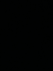 아무도 안물어본 얘기