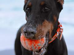 판타지채우기 - 05