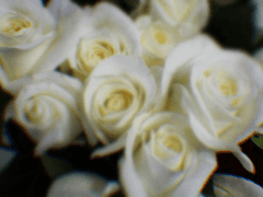 너한테 줄 시간도 없을까 봐?