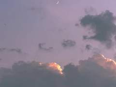 진정한 탑의 여왕인 ' 그녀 '