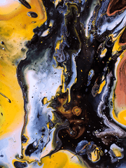 센티넬 버스 렌탄