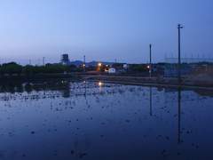 행운을 파는 소녀