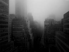 Operation : Grizzly Heart - part 2