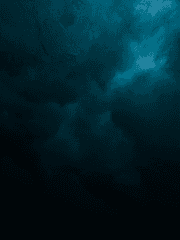 사신수 밑 청동