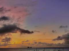 [수혁록수] 이 세계의 당신과 나에게.