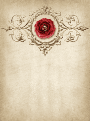 잉크병과 펜, 그리고 감성. 퀼.