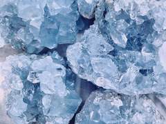 Do Whatever You Want.