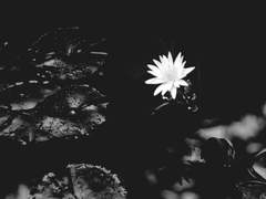 [육섭] 미완의 장 中