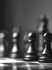 For Want of a Kingpiece