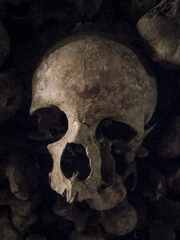 데드바이데이라이트