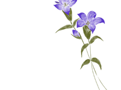 若使夢魂行有跡 후기 + 떡밥