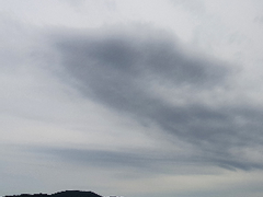 담콜라보) 서Q 1. JM