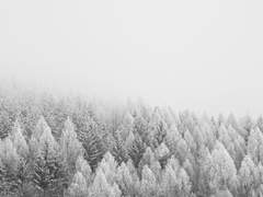 제게는 있습니다.