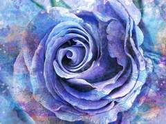 I’m Definitely Fine.