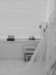 이솝 칼 (Aesop Carl)