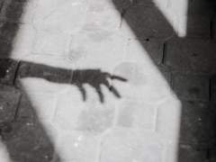 나는 그것을 운명이라 부르지 않는다 3