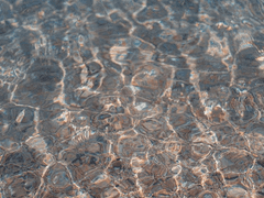 네가 이 넓은 바다라면*