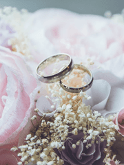 드림 웨딩 합작 [만화 부문]