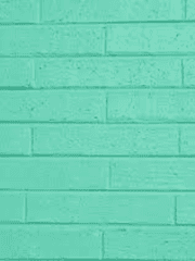 [하이큐 드림] 일본 학교 배구부 매니저의 vlog