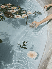 수조 속의 레퀴엠