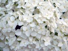 맞아요, 그래서요?