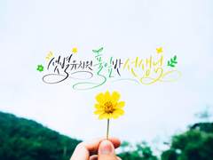 샛별유치원 풀잎반 선생님 2