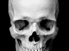 매일아침. 새로운 꽃을 부탁해.