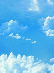 의부 장경X어린 십육