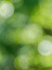 멍텅구리 연애사