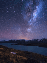 호랑 꼬리 주인님