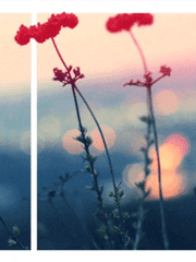 디지털 시대의 마법사들