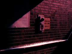 [표식] 03 : floor 5. 맹수의 층