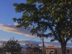 두요 썰 모음 (4)