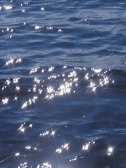 투바투 나폴리탄