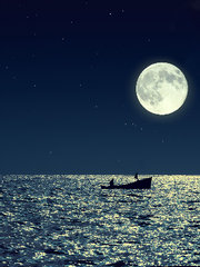 [국뷔] [완결] Blessure