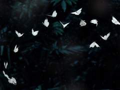 소이연 所以然 - 上