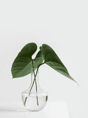 에세이 / 일상글