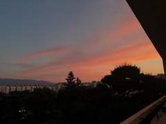 하루에 몇 번 우나