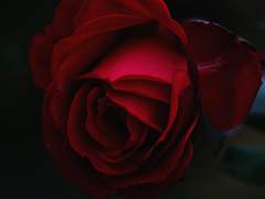 너와 함께한 날