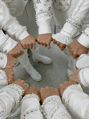 전력/합작 참여