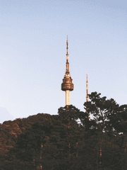 현실일기: 허선