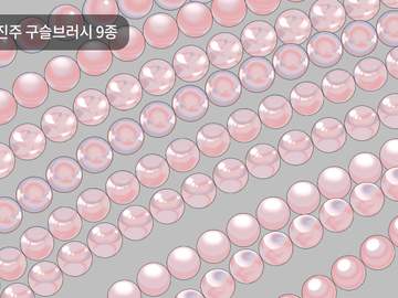 진주 브러시 27종