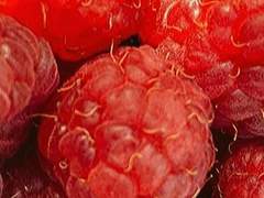 다들 동작 그만!