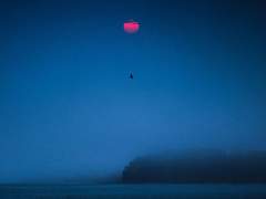 푸른 잉크로 쓴 부적