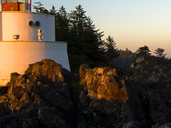 병원로맨스TALK 시즌1 멤버십 등록 완료